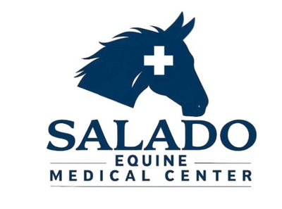 salado-equine-medical-center_equine-care-group